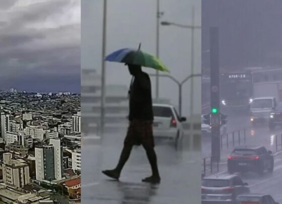 CNN Brasil