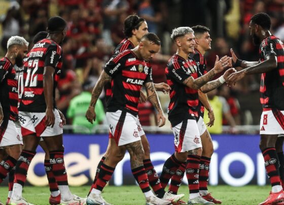CNN Brasil