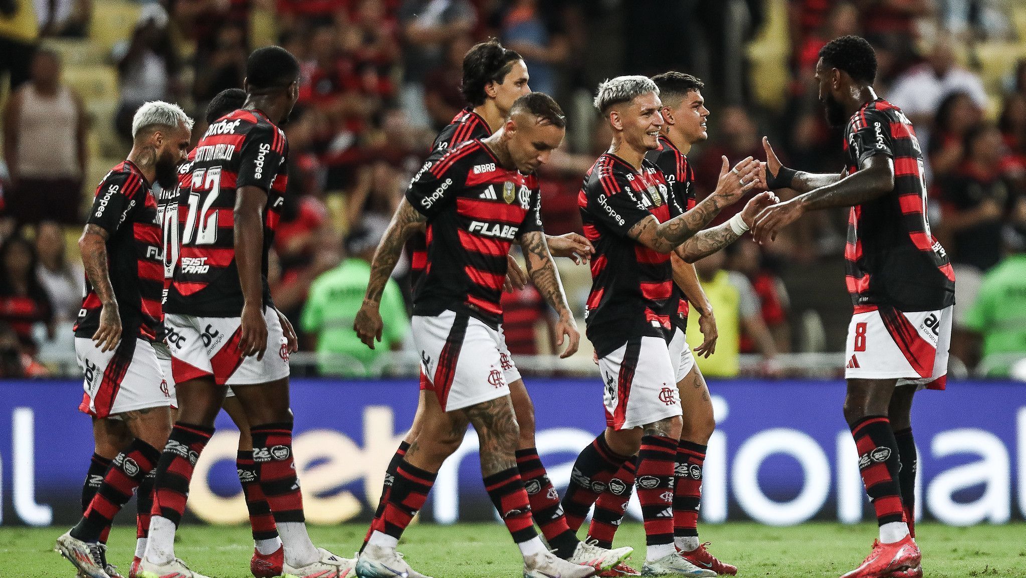 CNN Brasil