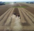 Agro dos EUA perdeu competitividade no mercado mundial, diz Marcos