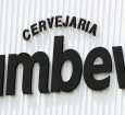 CNN Brasil