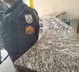 Casal é flagrado com drogas em Pinheiral e jovem é