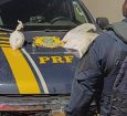 Casal é preso com três pacotes de cocaína em Volta