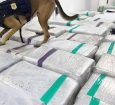 PRF apreende 3 toneladas de maconha na Dutra, em Resende