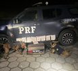 PRF apreende na Serra das Araras 10 kg de haxixe