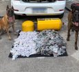 Polícia desarticula esquema de tráfico de armas e drogas do