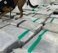 Três toneladas de drogas são apreendidas na Via Dutra, em